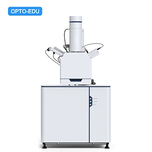 Tungsten Filament Scanning Electron Microscope, SE, 300000x
